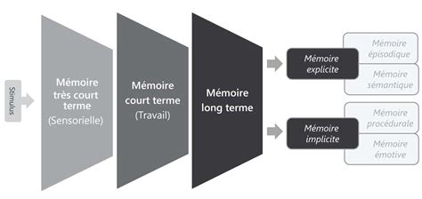 Schéma du processus de la mémoire visuelle