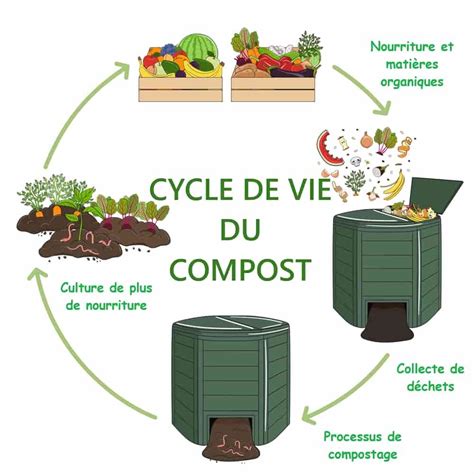 Schéma illustrant le cycle de vie du compost organique dans le sol, montrant l'activité microbienne et l'amélioration de la structure de la terre