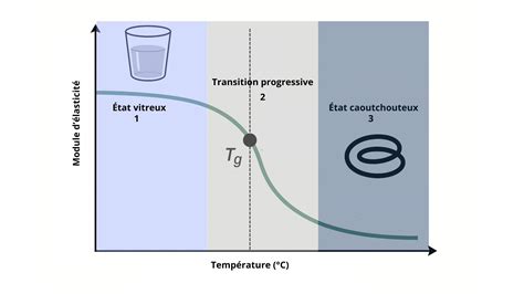 Infographie illustrant la transition entre le passage de la tondeuse pour les côtés et le travail aux ciseaux pour le dessus