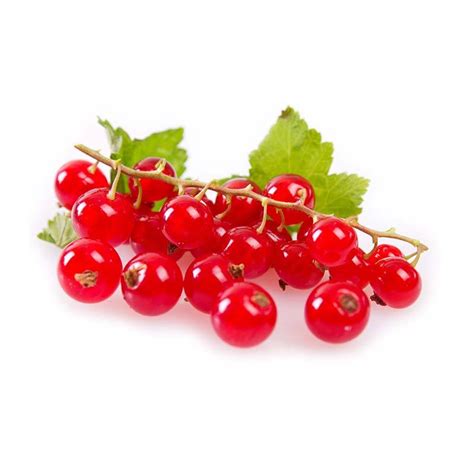 Assortiment de préparations culinaires utilisant des groseilles rouges