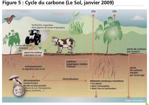 Schéma illustrant le cycle du fumier : de l'animal au sol du potager