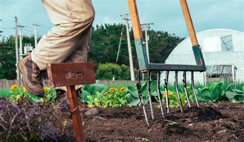 Outils de jardinage pour travailler la terre