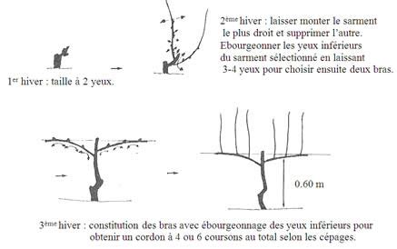 Schéma technique des pieds de pot et leur impact sur le drainage