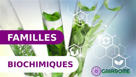 Schéma simplifié des familles biochimiques des huiles essentielles