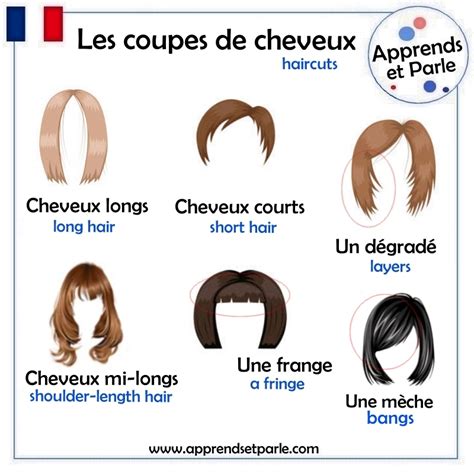 Photo comparative présentant les trois types de coupes lion classiques en exposition