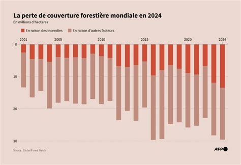 Graphique montrant la diminution de la couverture forestière en Éthiopie au fil des décennies