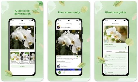 une infographie comparant les fonctionnalités de Google Lens, PlantSnap, Seek et Flora Incognita