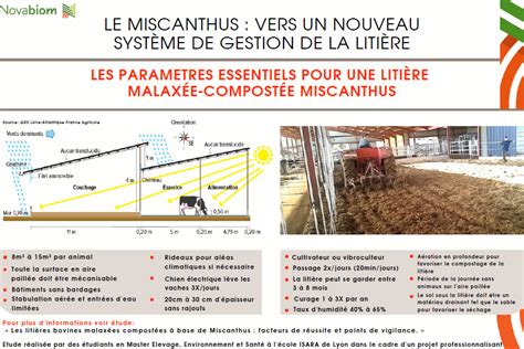 Schéma illustrant le brassage quotidien d'une litière de miscanthus en stabulation