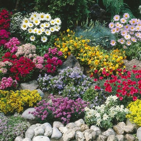 Un jardin paysager recouvert de diverses variétés de plantes vivaces couvre-sol