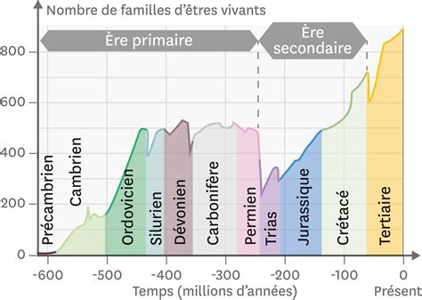 Graphique montrant l’évolution de la diversité culturale dans les fermes maraîchères