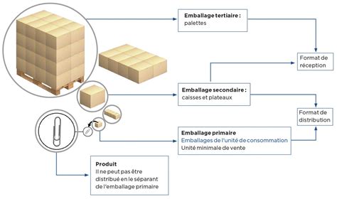différents types d'emballages pour la congélation