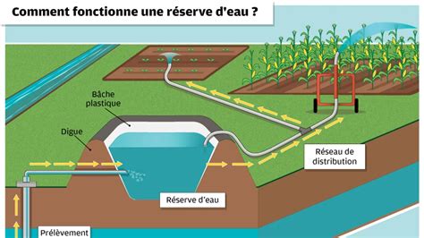 Schéma de fonctionnement d'une réserve d'eau avec irrigation