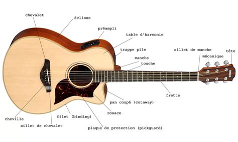 Étapes de fabrication du fond d'une guitare classique