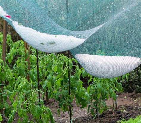 Illustration d'un jardin avec divers types de filets de protection installés