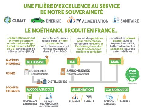 Infographie sur la production et l'utilisation du bioéthanol