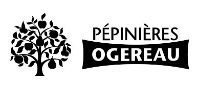 Pépinière Ogereau localisation
