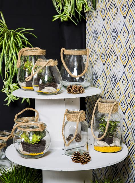Diversité des contenants en verre pour terrariums