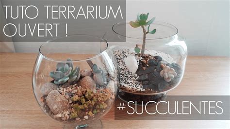 Exemple de terrarium avec des succulentes