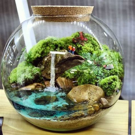 Terrarium bien entretenu dans un environnement lumineux