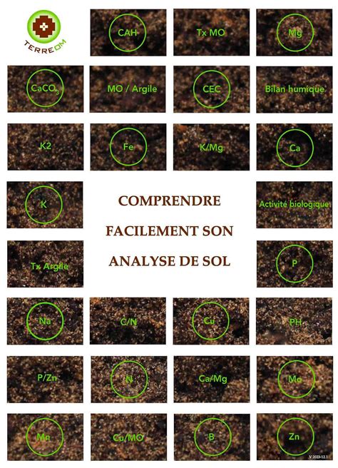 Infographie sur l'analyse de sol et ses résultats