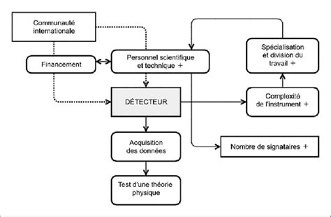 Schéma explicatif de l'allélopathie du tournesol