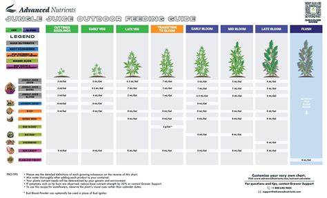 Plantes de cannabis en extérieur avec des couleurs automnales