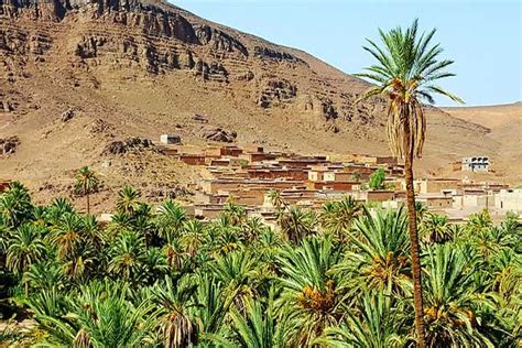 Carte d'accès à l'Oasis de Fint depuis Ouarzazate
