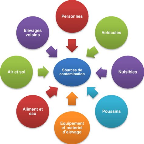 Diagramme des sources de contamination du vin