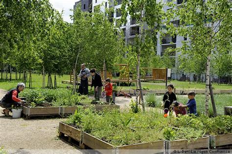 Exemple de jardin partagé en milieu urbain