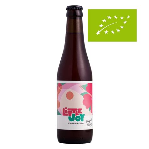illustration des ingrédients du kombucha Little Joy Gingembre Hibiscus