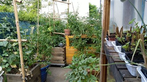 Micro-jardin permaculture balcon