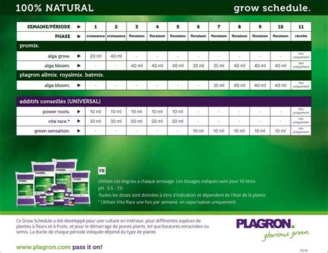 Schéma de calendrier de culture Plagron pour autofloraison