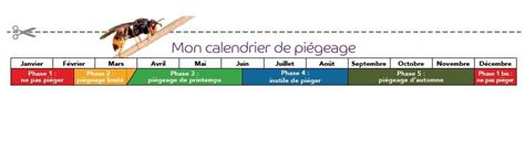 Calendrier de piégeage des frelons asiatiques