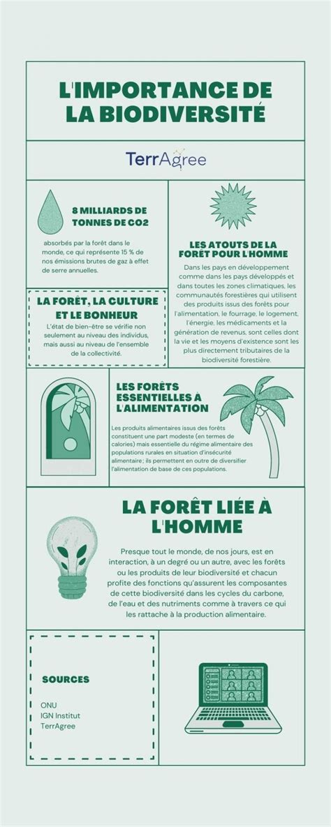 Infographie sur l'importance de la biodiversité urbaine