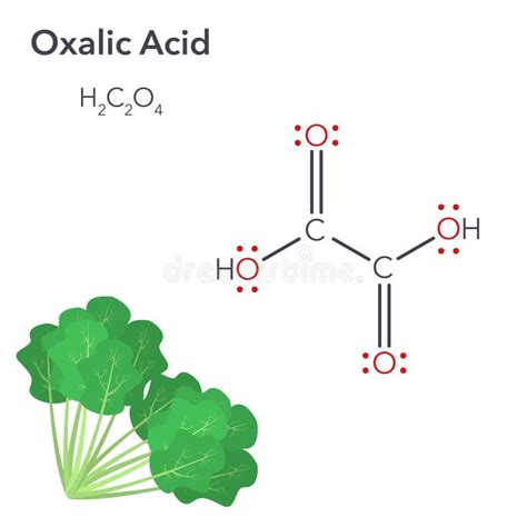 Structure chimique de l'acide oxalique