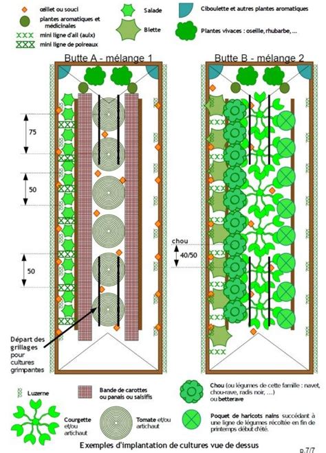 Dessin technique d'une planche de culture avec ses dimensions recommandées
