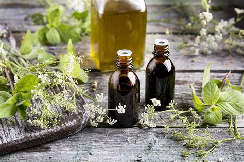 Plantes médicinales et homéopathie