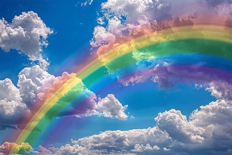 Illustration d'un arc-en-ciel au-dessus d'un champ d'iris