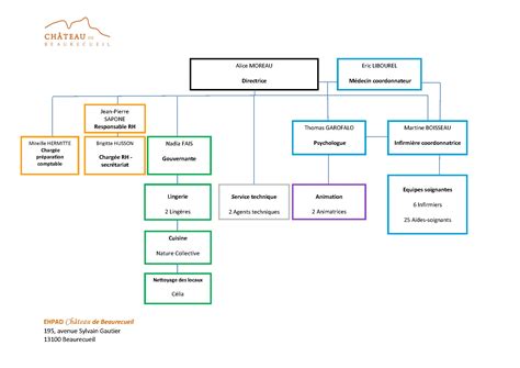 Organigramme simplifié d'un EHPAD avec la position de l'adjoint de direction