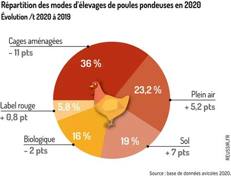 Schéma des différents codes d'œufs de poules selon le mode d'élevage (0, 1, 2, 3)