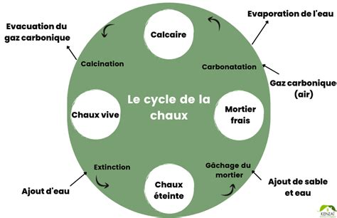 Schéma du cycle de la chaux