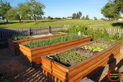 Un jardin potager luxuriant en permaculture avec des bacs en lasagnes et des fleurs mellifères
