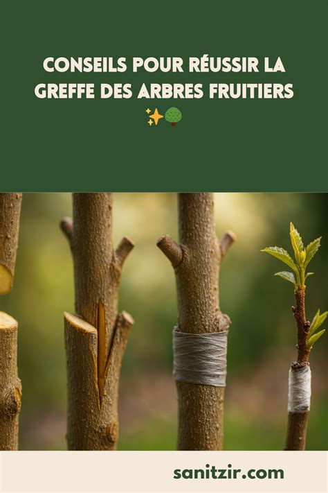 Atelier de greffe d'arbres fruitiers en plein air