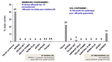 Évaluation comparée de traitements fongicides pour la carie commune