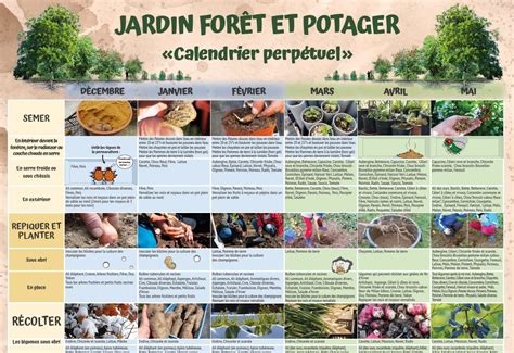 Calendrier des formations en permaculture