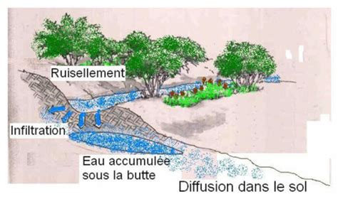 Hydrologie régénérative en permaculture