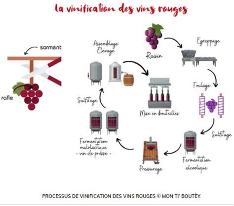 Schéma technique de la vinification en acier