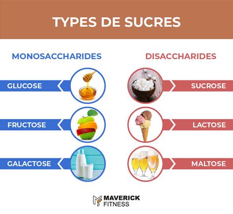 Schéma des différents types de sucres dans le miel