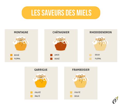 Infographie sur la relation entre la couleur du miel, son goût et ses propriétés