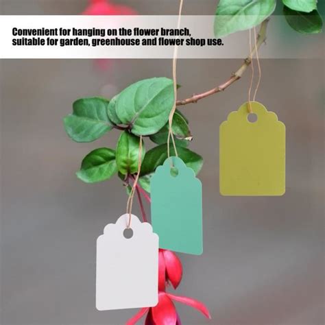 Plante avec une étiquette transparente suspendue